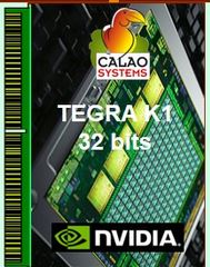 Processeur Nvidia Tegra K1 pour systèmes embarqués durcis