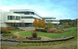 Infineon cherche un acquéreur pour son site de Newport au Pays de Galles