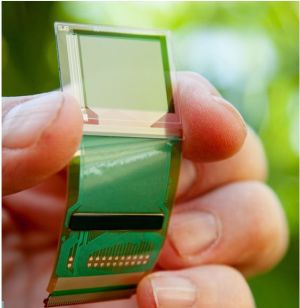 Isorg reçoit la certification du FBI pour son module à photodiode organique pour scanners d’empreintes digitales