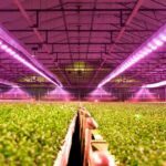 Un capteur spectral sans fil ni pile dédié à l’agriculture