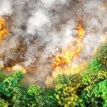 Kinéis et Dryad Networks s’associent pour la détection précoce des feux de forêt par satellite