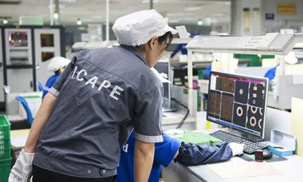 Nouveau rachat pour Icape dont le chiffre d’affaires a baissé de 2,2% en 2024