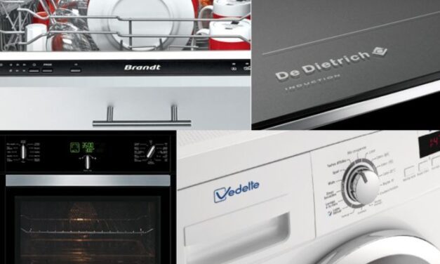 Un projet de reprise partielle pour Brandt ?