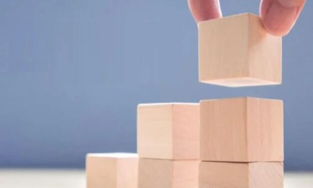 Dolphin Semiconductor affiche des ambitions