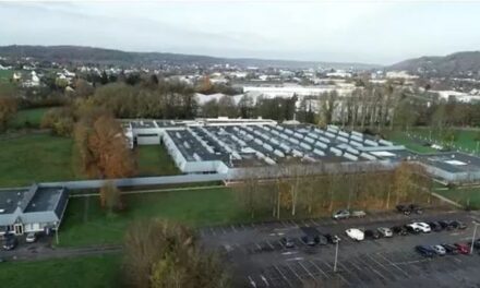 Rétrospective 2025 : des champions français dynamiques