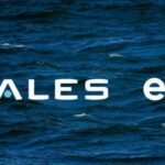 Thales officialise le rachat d&rsquo;Exail Technologies